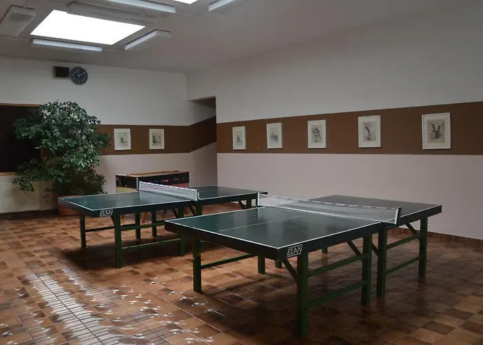 Mladinski Dom - Hostel